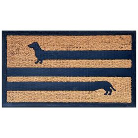 Funny Coir Doormat Hello There Welcome Front Porch Decor Doormat for The Entrance Way Outdoor with Heavy-Duty Non Slip Coconut Coir Doormat 30x17